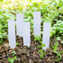Name pin - Plant